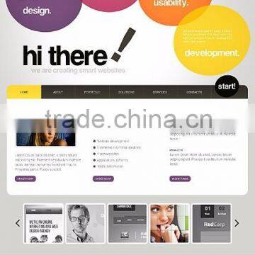 WordPress Website Design Services , Website Design, Custom Web Development, photo-3