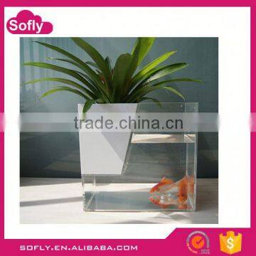 Cheap Perspex Discount Aquariums, Aquarium Products , Fresh Water Aquarium Fish photo-1