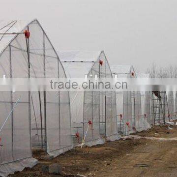 Poly Tunnel Greenhouse Single Span Greenhouse Tunnel Greenhouse for Sale photo-2