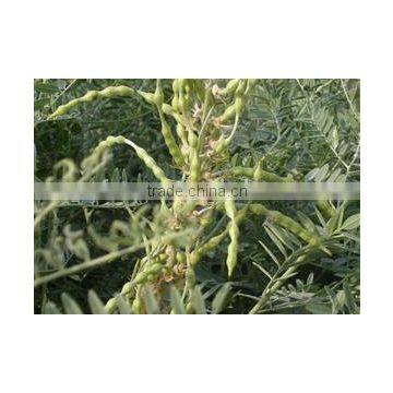 Plant bio bactericide fungicide total matrine