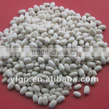 White Beans