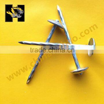 hot selling galvanized corrugated nails