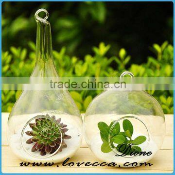 Plant Hanging Teardrop Shaped Glass Vase for Sale photo-2