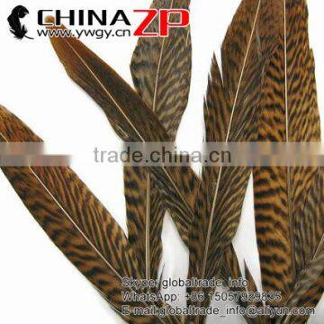 ZPDECOR Factory Wholesale Leading Selling Natural 15cm-20cm Golden Pheasant Tail Feathers for Carnivals photo-3