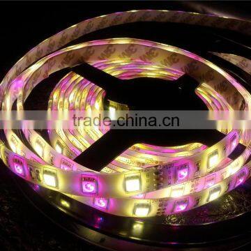Colorful Powered Festive Atmosphere Christmas Decorating Led Lights photo-5
