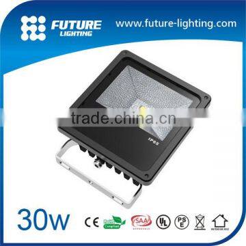 Outdoor Black Aluminum Housing New Style Floodlighting 30w Led Flood Light