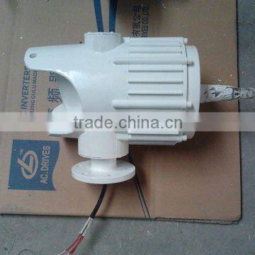 1000w permanent magnet generator,1kw pmg generator