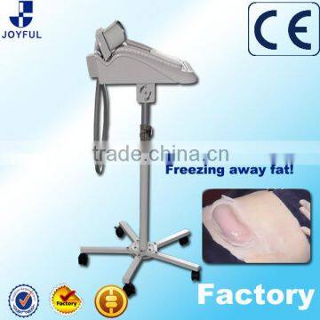 Express Portugues Criolipolisis 2016 photo-2