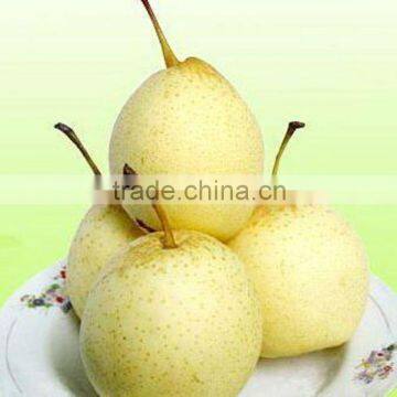 Fresh White ya Pear