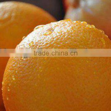 Navel Orange 1st Class In 14kg Plastic Box