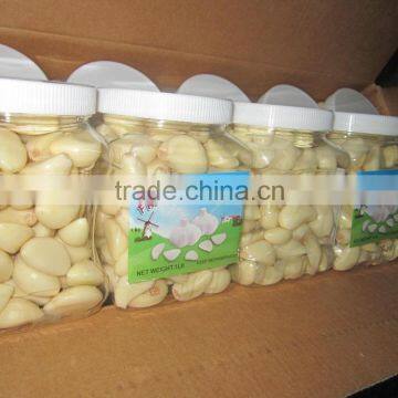 2015 china fresh peeled garlic for exporting