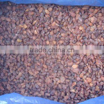 Raisin,dried Fruit ,dried Red Raisin ,brown Raisin