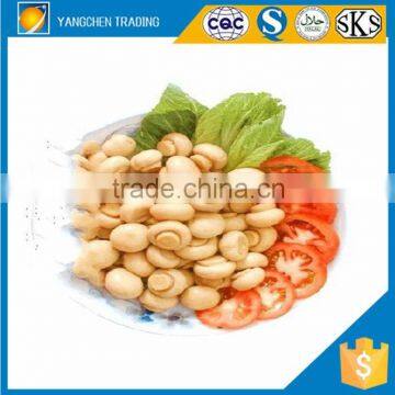 Direct manufacturer canned mushroom whole 425g