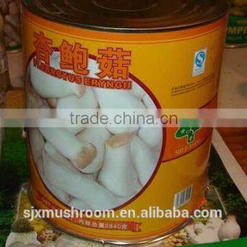 canned pleurotus eryngii