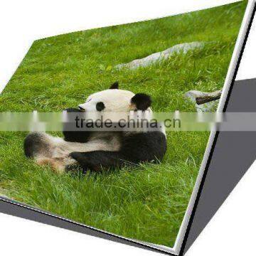 Brand New 10.2" Lcd Screen For Laptop CLAA102NA1BCN