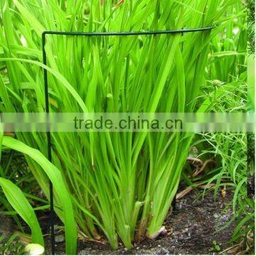 Grow Grid Link Cradle Wire Climbing Decorative Support Cradle photo-3