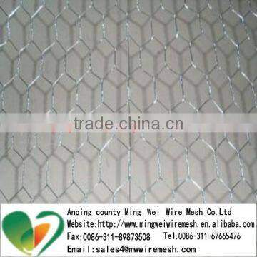 PVC Coated or Galvanized Hexagonal Wire Mesh from Anping factory