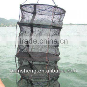 scallop farming lantern nets aquaculture buoys