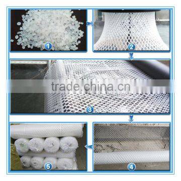 Low Price Plastic Mesh Square Hole Mesh China Factory photo-2
