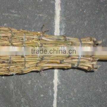 Wy-C067 High Quality And Cheap Bamboo Broom photo-3