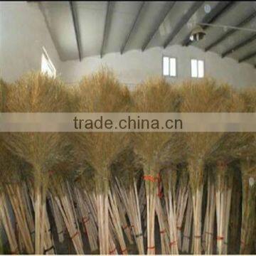 WYC-grass bamboo brooms Big Chinese Manufacturer