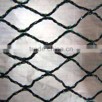 HDPE Anti Bird Netting photo-3