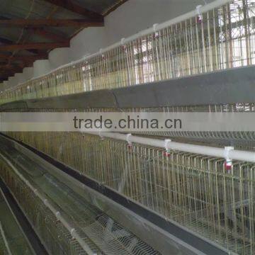 Different Sizes Design Layer Chicken Cage