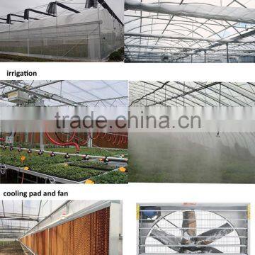 Complete Equipments Glass Greenhouse For Sale photo-3
