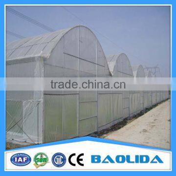 Factory Price Galvanized Steel Frame Agricultural Plastic Green House photo-5