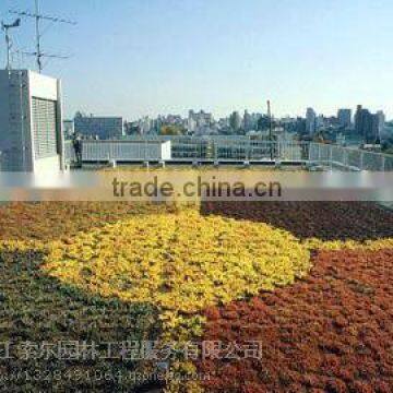 SOL 2015 pp Material Roof Pot Green Roof Container for Decoration photo-5