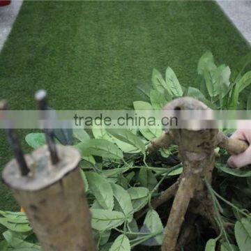 Artificial Bonsai Trees Artificial Orange Tree With Fruit Real Trunk Artificial Tree photo-5