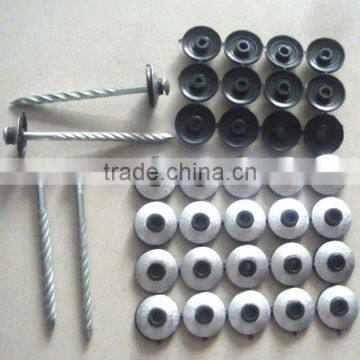 Galvanized Roof Screw Nail With Plastic Cap photo-3