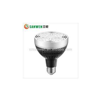 LED Par30 Light