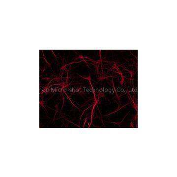 1.4MP CCD Camera MC20-N / MC20-M-N