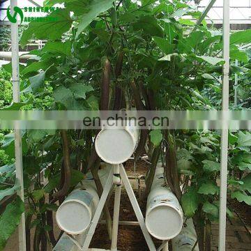 NFT Hydroponic Hydroponic Grow Systems Culture