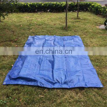 Truck car cover pe tarpaulin in standard size