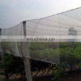 uv treated plastic hdpe woven knitted anti bird protection net for orchard