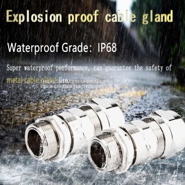 High quality double compression explosion proof ss cable gland m20 m40