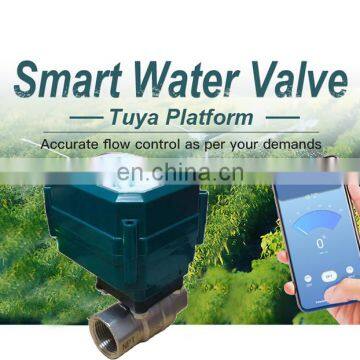 ball valve wifi automatic smart valve stainless steel brass  BSP NPT motorized flow control intelligent wifi water shutoff valve