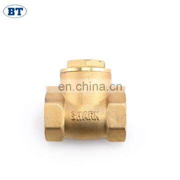 BT5007 Good Market Swing Flapper Type Check Valve photo-5