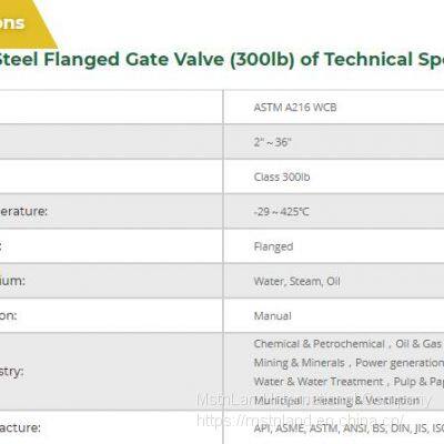 Mstnland API600 CAST STEEL FLANGED GATE VALVE (300LB) photo-2
