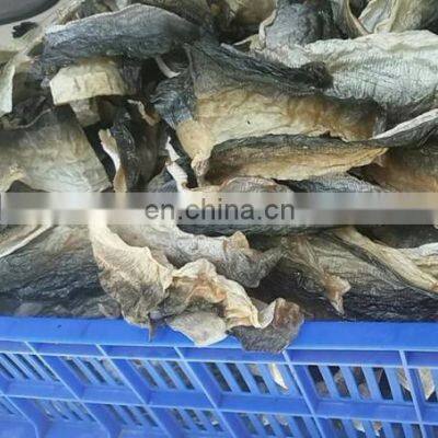 High Quality Fish Skin From Vietnam photo-3