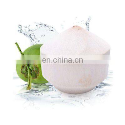 For Drink Healthy And Cheap Price Fresh Coconut Origin From Viet Nam