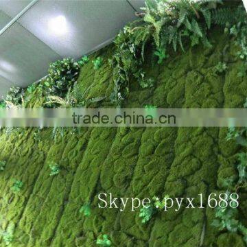 artificial plastic indoor green plants wall