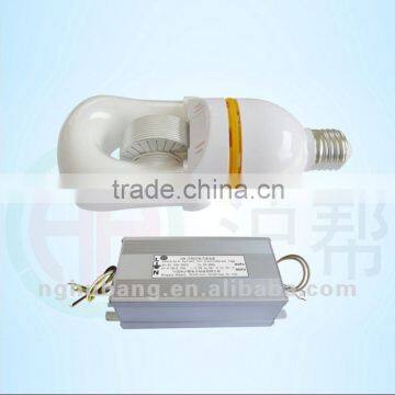 23W Electrodeless Induction Charging