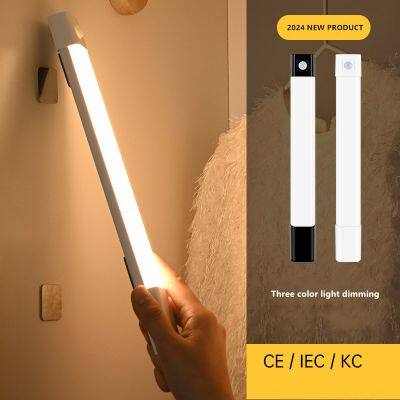 LED Intelligent Human Body Induction Light Wireless Magnetic Self-adhesive Cabinet Long Strip Light Rechargeable Wardrobe Light