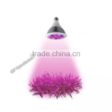Hot Sale E27 12w/24w Red/Blue Emitting Color PAR38 Family Indoor LED Plant Lamp photo-3