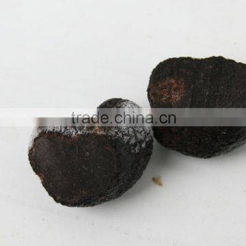 Fully Mature Fresh Wild Black Truffle Mushroom photo-3