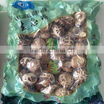 Price for Wholesale Dried Shiitake 1KG