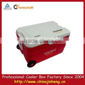 Plastic disposable cooler